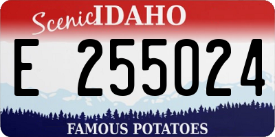 ID license plate E255024