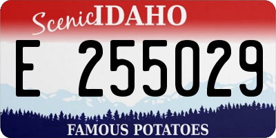 ID license plate E255029