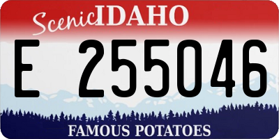 ID license plate E255046