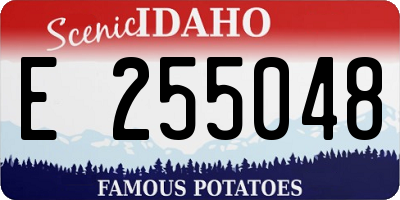 ID license plate E255048
