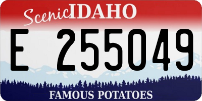 ID license plate E255049
