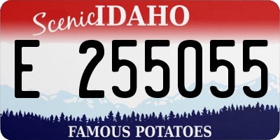 ID license plate E255055