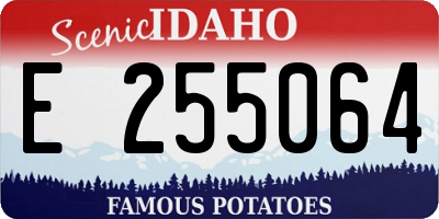 ID license plate E255064