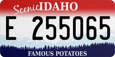 ID license plate E255065