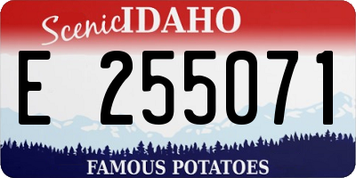 ID license plate E255071