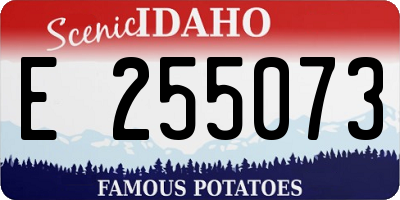 ID license plate E255073