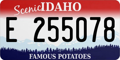 ID license plate E255078