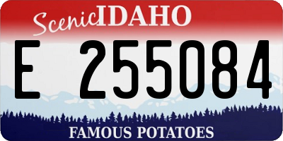 ID license plate E255084
