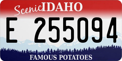ID license plate E255094