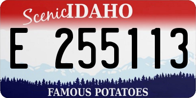 ID license plate E255113