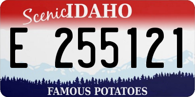 ID license plate E255121
