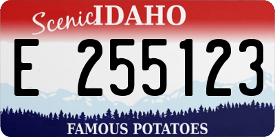 ID license plate E255123