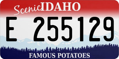 ID license plate E255129