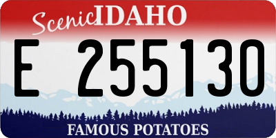 ID license plate E255130