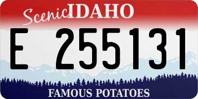ID license plate E255131