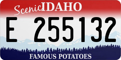 ID license plate E255132