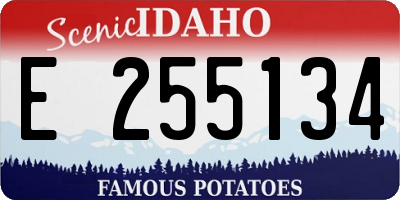 ID license plate E255134