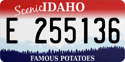 ID license plate E255136