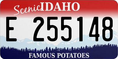 ID license plate E255148