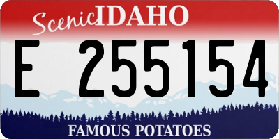 ID license plate E255154