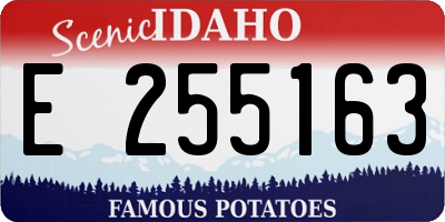 ID license plate E255163