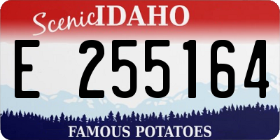 ID license plate E255164