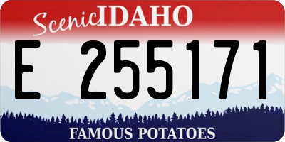 ID license plate E255171
