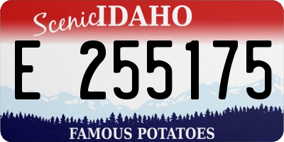 ID license plate E255175