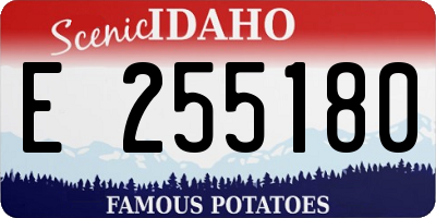 ID license plate E255180