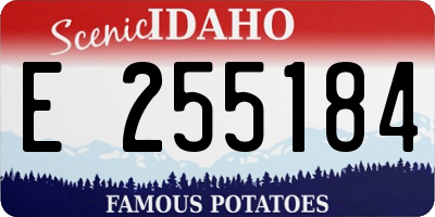 ID license plate E255184