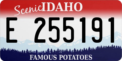 ID license plate E255191