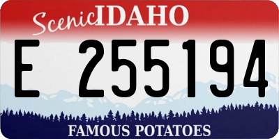 ID license plate E255194