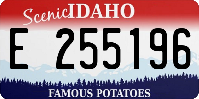 ID license plate E255196