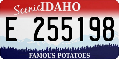 ID license plate E255198