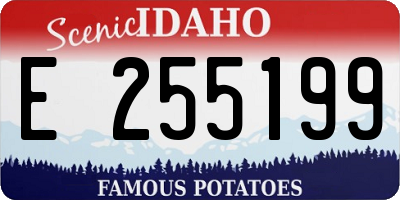 ID license plate E255199