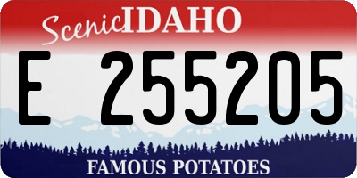ID license plate E255205