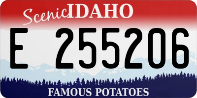ID license plate E255206
