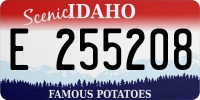 ID license plate E255208