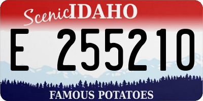 ID license plate E255210