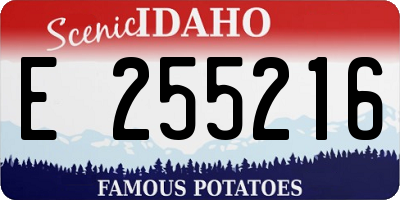 ID license plate E255216