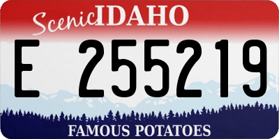 ID license plate E255219