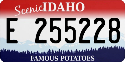ID license plate E255228