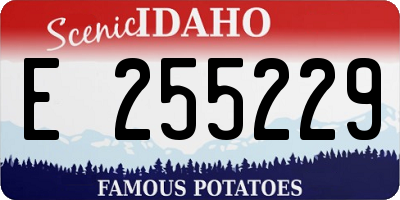 ID license plate E255229