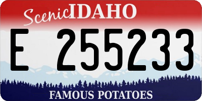 ID license plate E255233
