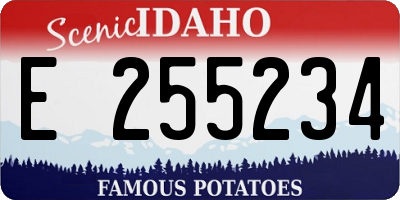 ID license plate E255234