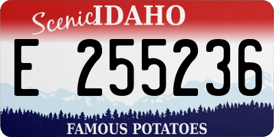 ID license plate E255236