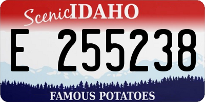 ID license plate E255238