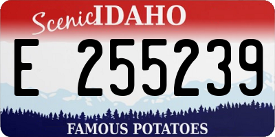 ID license plate E255239