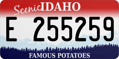 ID license plate E255259