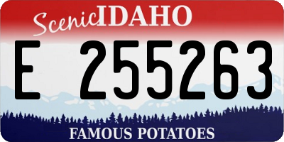 ID license plate E255263